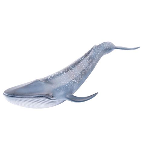 ⚡️Buy Maxbell Marine Animal Simulation Model Children's Solid Toys Blue ...