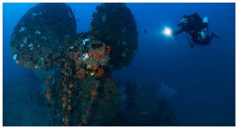 Roar Tamil - திருகோணமலை துறைமுகத்தை பாதுகாத்த வீரம் செறிந்த இரண்டு ...