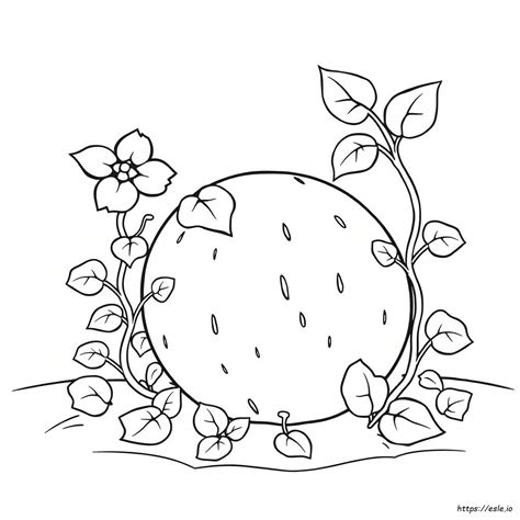 What Colors Make Watermelon Pink