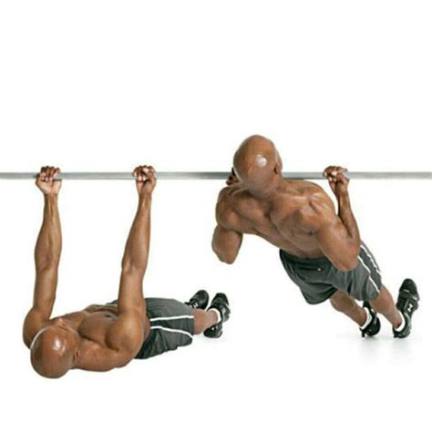 Image result for Modified Inverted Row