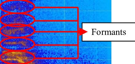 Image result for Voice Spectrogram