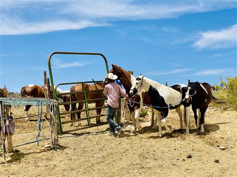 Sedona Horseback Trail Rides | Horse Riding Arizona