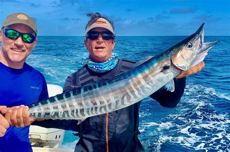 How to Fish for Wahoo: The Complete Guide (Updated 2023)