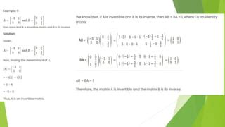 Image result for Invertible Matrix Applications