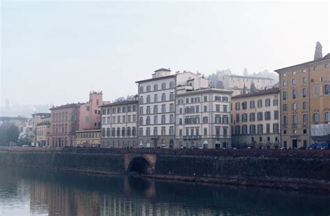 Italian String Instrument 的图像结果