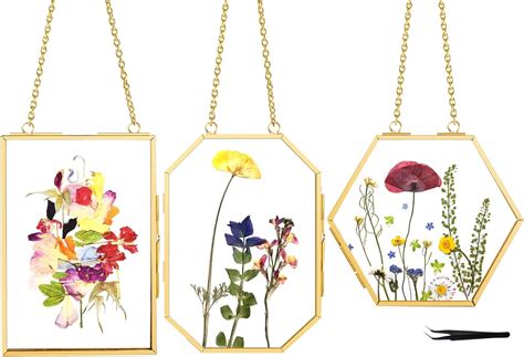 Pressed Flowers In Frame