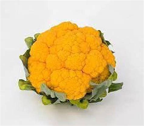 JRYU Yellow cauliflower Gobi Seed Price in India - Buy JRYU Yellow ...