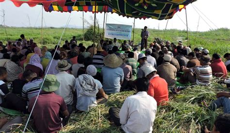 January 2024 – SANDRP