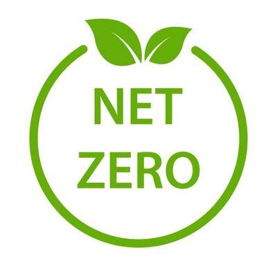 Image result for Net 0 Logo