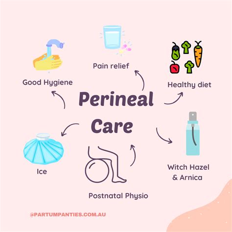 Your Perineum - Partum Panties