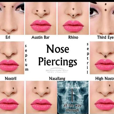 Best Piercing Shop/Artist In Delhi-Ear|Septum|Nose|Navel|Dermal|Nipple ...