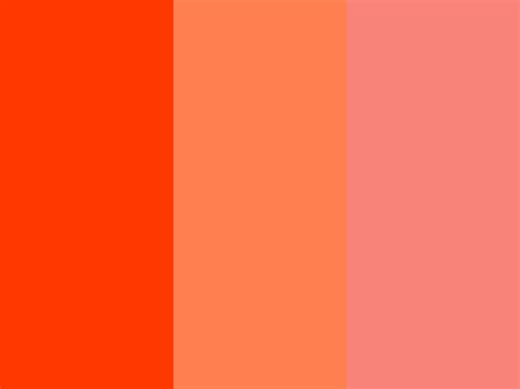 Coral Colored Wallpaper - WallpaperSafari