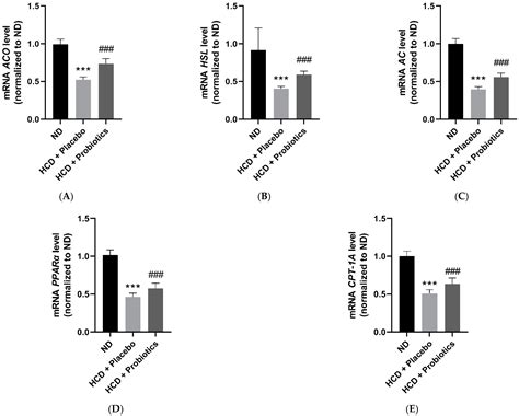 Anti-Obesity Effects of Multi-Strain Probiotics in Mice with High ...