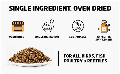 TUNAI Black Soldier Fly Larvae Bsfl |50G| 60X More Calcium Than Meal ...