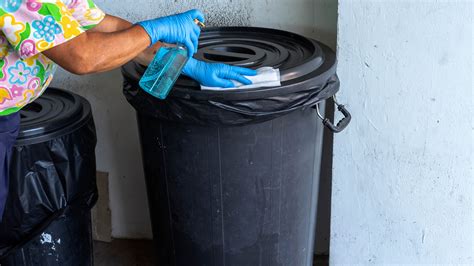 How to get rid of maggots in your garbage can fast | Tom's Guide