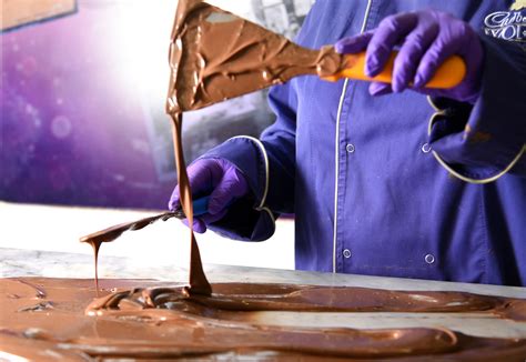 Latest Updates | Cadbury World