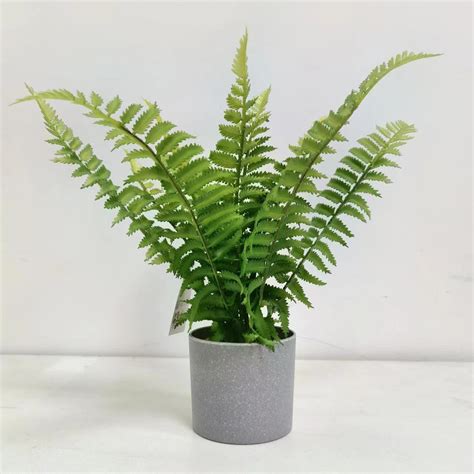 Primrue 13.3'' Faux Fern Plant in Pot - Wayfair Canada