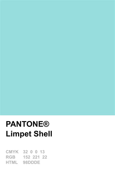 Image result for Limpet Shell Color