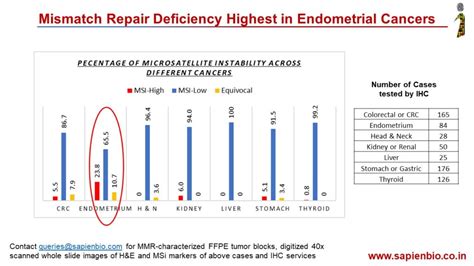 Mismatch repair deficiency tested in seven cancer types – Sapien ...