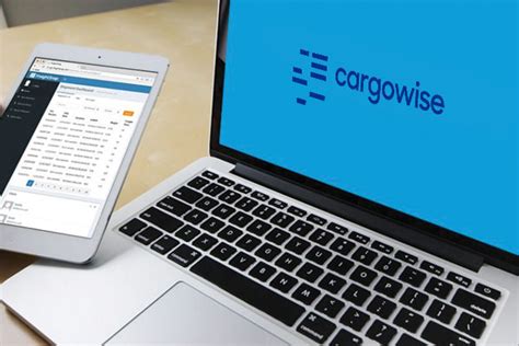 CargoWise Tutorial 的图像结果
