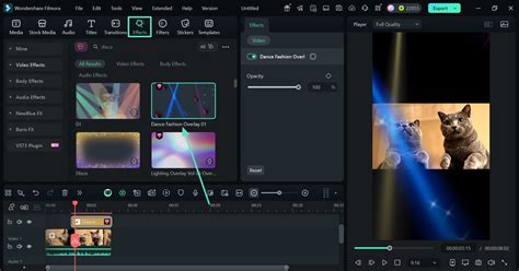 The Ultimate Guide to GIF for Discord Profile