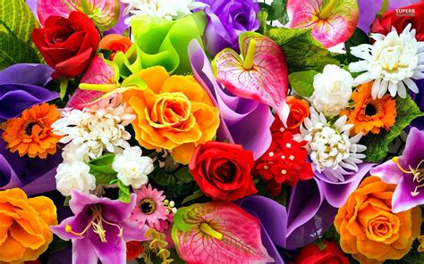 Flowers Colors Wallpapers - Top Free Flowers Colors Backgrounds ...