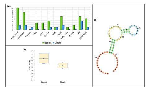 Incipient Sympatric Speciation and Evolution of Soil Bacteria Revealed ...
