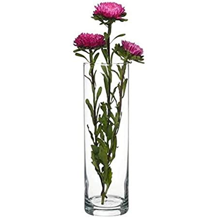 FloraPower - Food of Flowers, Flower Food (Sachets, 10 Pieces) : Amazon ...