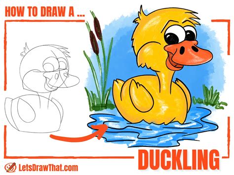 How to Draw a Duck - Easy Duck Drawing