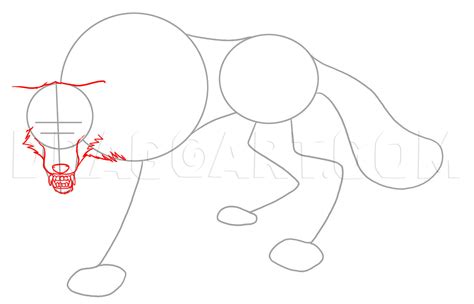 Draw Wolf 的图像结果