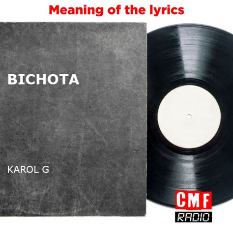 The story and meaning of the song 'BICHOTA - KAROL G