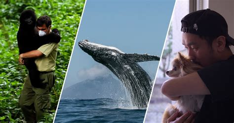 Image result for Alien Animal Documentary