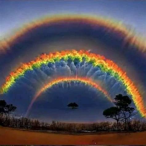 Rainbow Nature 的图像结果