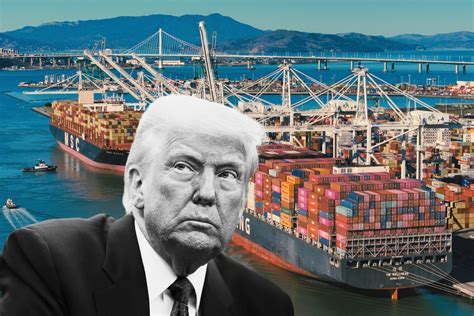 Trump Carried Interest