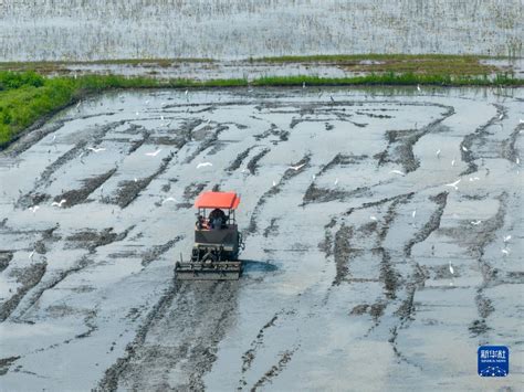 贵州从江：雨水时节农事忙-人民图片网