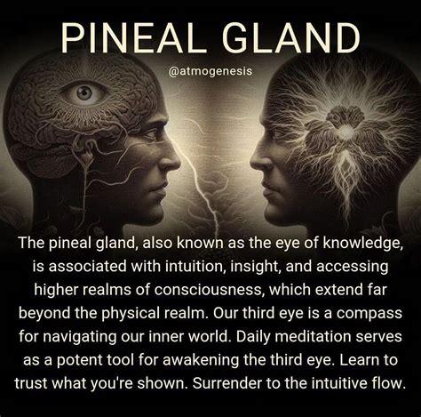 Pin by Lalita Grace 8888 on Light is consciousness in 2024 | Energy healing spirituality ...