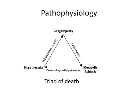 Trauma to postgraduate | PPTX