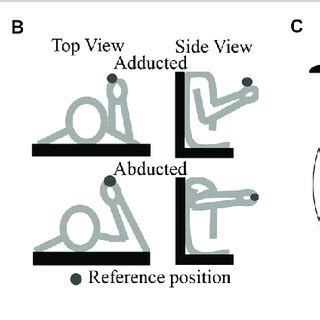 Image result for Human Coupling Position