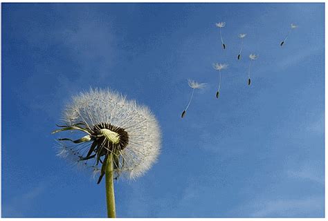 Introduction to Water, Air, and Soil - General Knowledge for Young ...