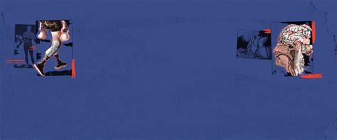 Basic Human Biology 的图像结果