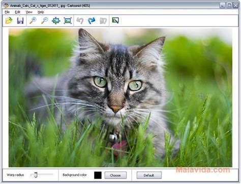 Cartoonist 1.3 - Download for PC Free