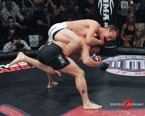 Image result for combat