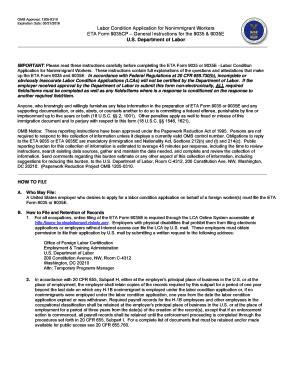 Labor Condition Application - Fill and Sign Printable Template Online