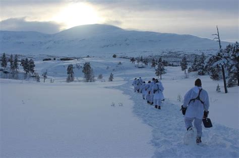Joint Viking brings training to the Arctic Circle | Article | The ...