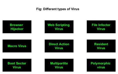 Types of Computer Virus 的图像结果