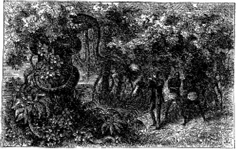 Image result for Python Sebae