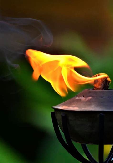 Image result for High Contrast Color Photography