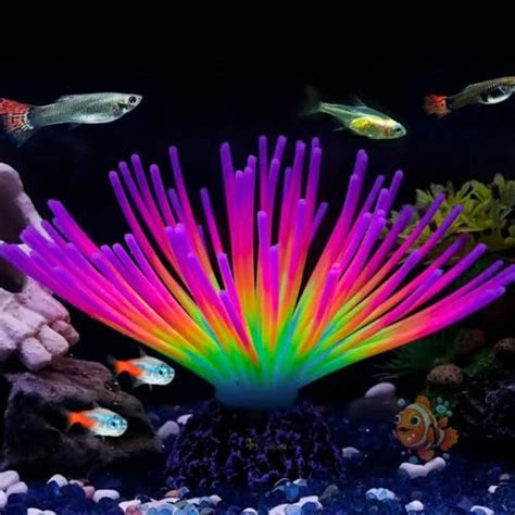 All Types of Aquarium and Pet Supplies – PetzLifeWorld