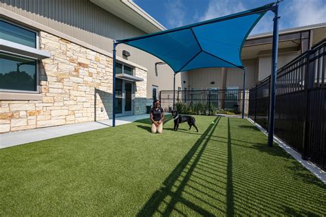 Animal Shelter Country Club Road at Isabella Embry blog