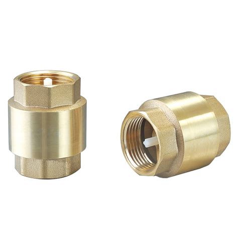 Male Brass Check Valve at Wilfred Mccarty blog